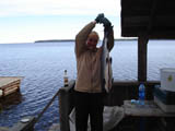 Отличный лосось на Онеге, 7,6 кг, гости из Вологды, сентябрь 2006